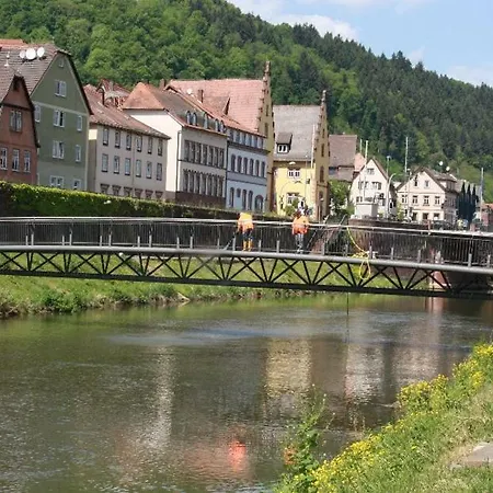 Ferienwohnung Mit Aussicht Auf Die Burg Вертгейм Экстерьер фото